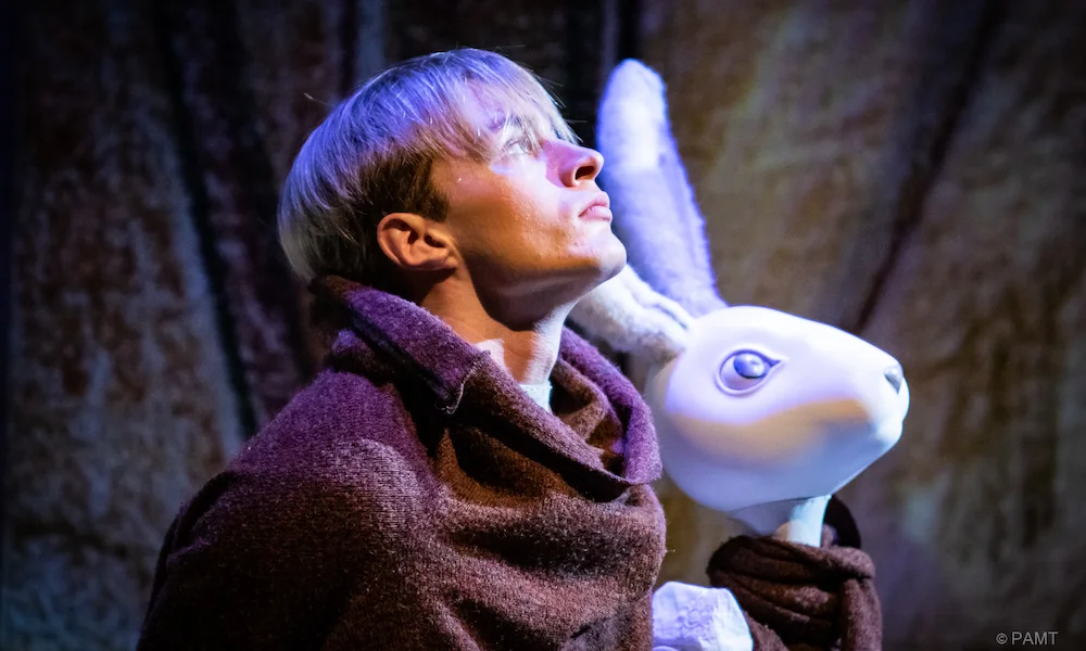 кролик эдвард