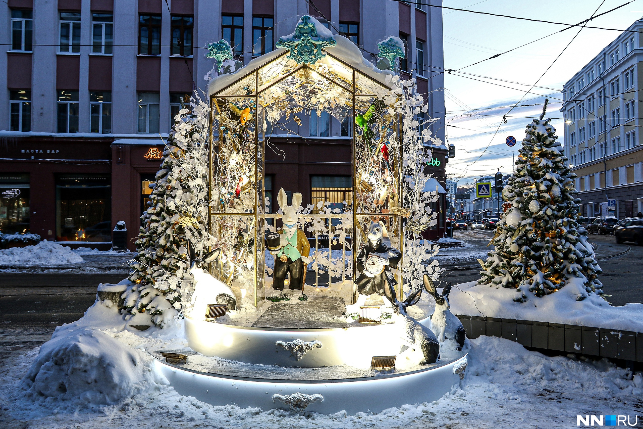 стелла нижний новгород зимой