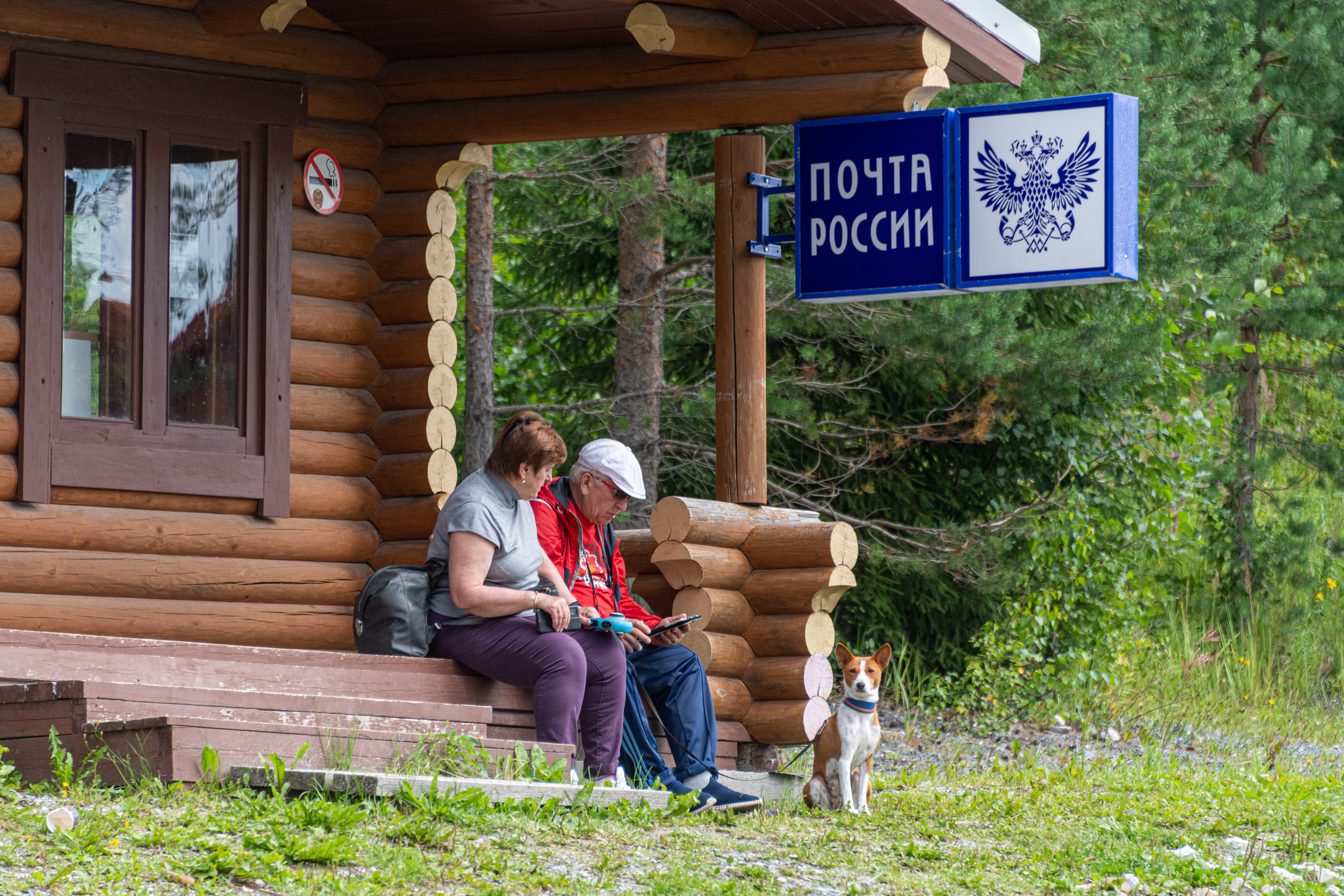 Russian posting. Почта России. Почта России вино. Отдых в России. Водка почта России.