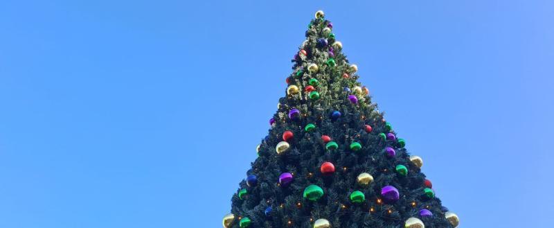 Калуга-поиск