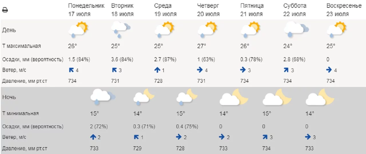 Погода в электроуглях на неделю от гидрометцентра. Метеоинфо ру.