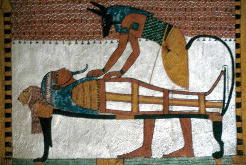 мумия, саркофаг