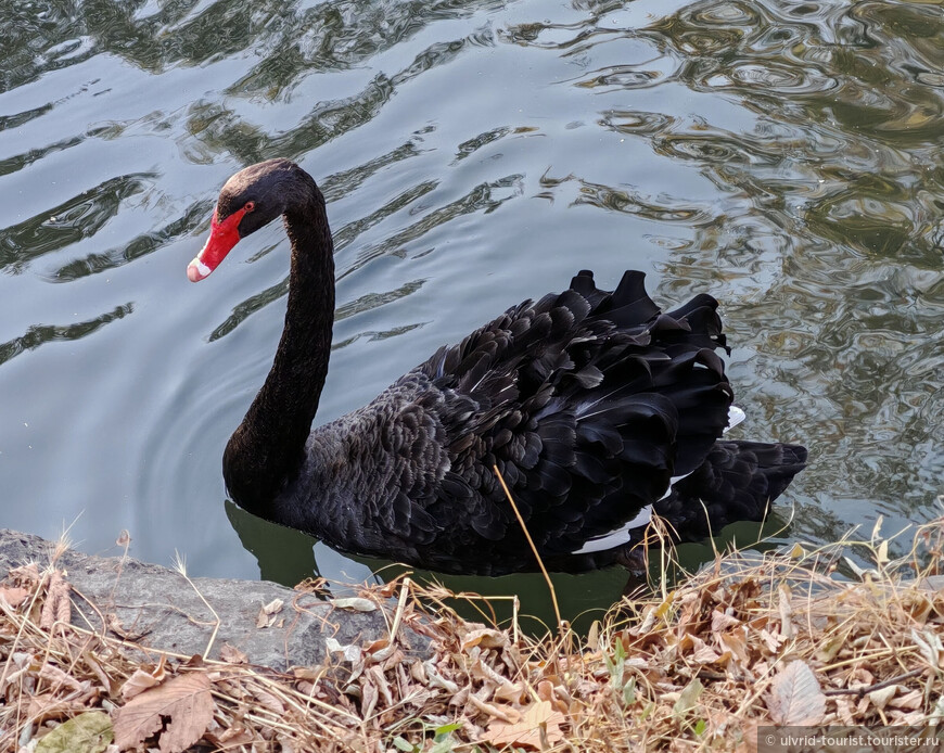 От Эребуни до Еревана