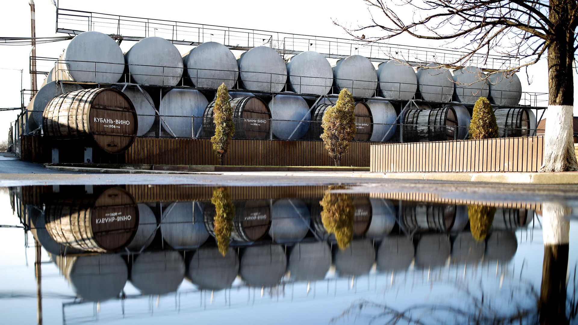 Таманская винная компания кубань. Вилла аристов краснодарский край. Кубань вино генпрокуратура. Кубанское вино в коробках. Производство вина.