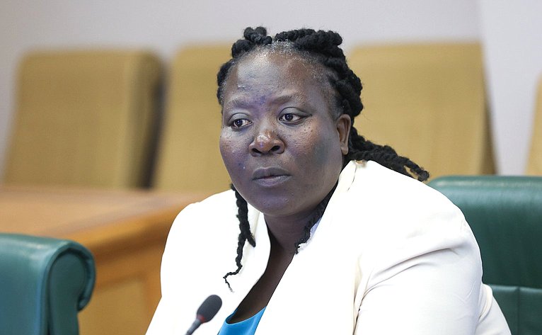 Встреча председателя Комитета СФ по международным делам Григория Карасина с заместителем Председателя Сената Республики Кения Катури Мурунги