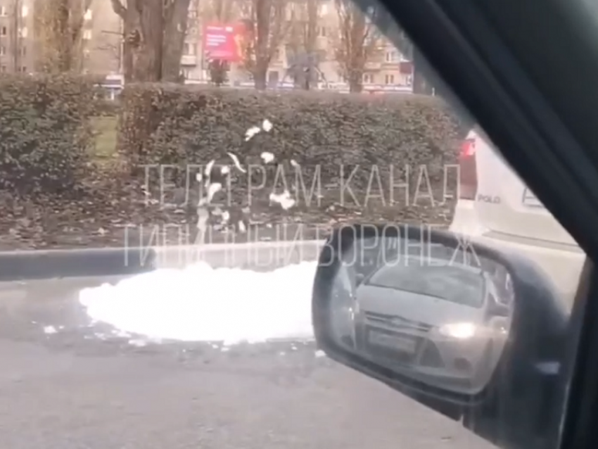 аналитический центр правительства воронежской. бачат воронеж. бачат воронеж. щеголев воронеж. бачат воронеж.