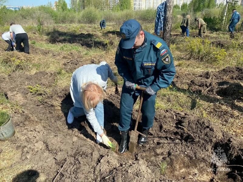 Доброе дело, которое останется на десятилетия