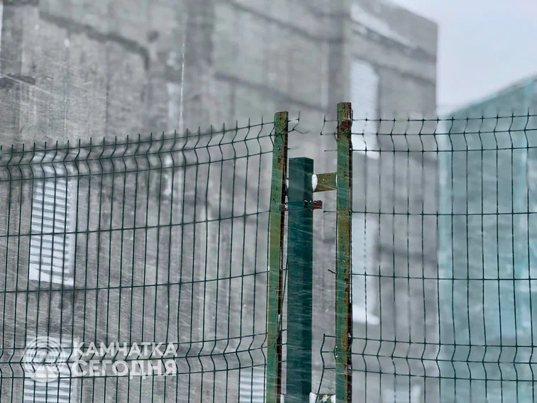 Камчатская мать проведёт полгода в колонии за неуплату алиментов. Фото: ИА 