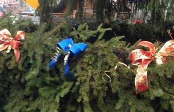 Утилизировать ёлку правильно: названы самые безопасные способы