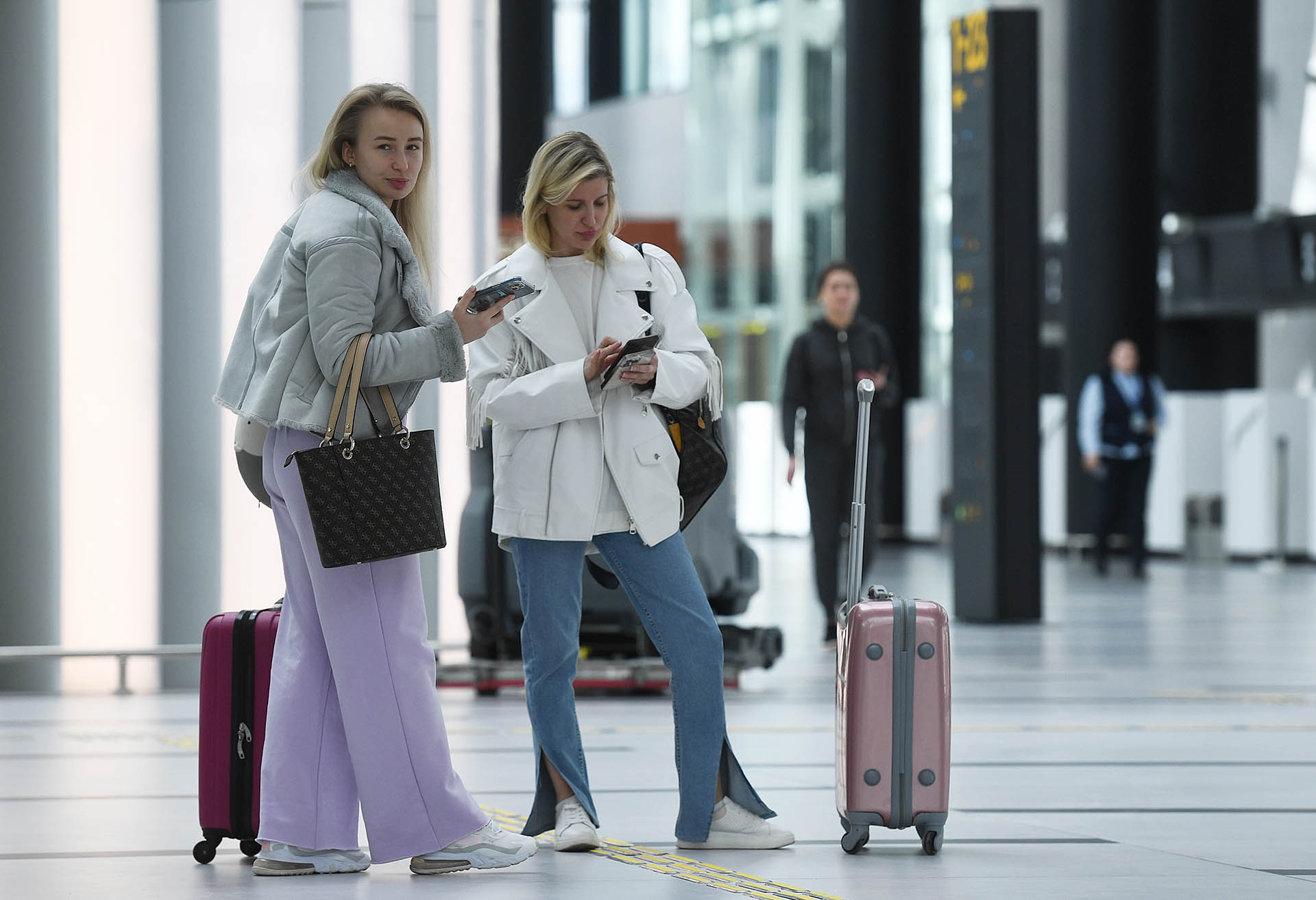 Пассажирки с чемоданами в аэропорту 