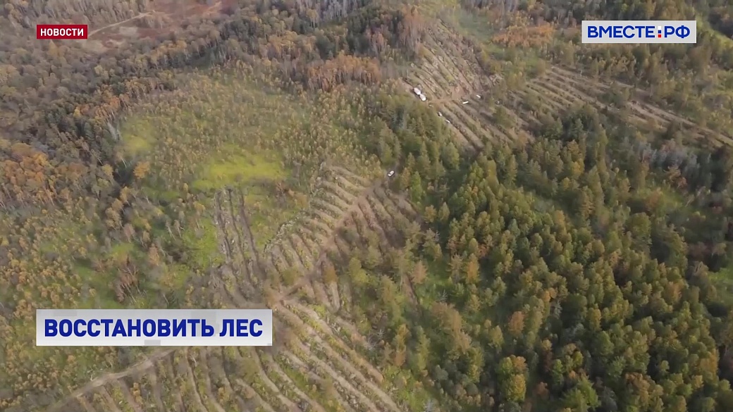 Сахалинский гектар карта