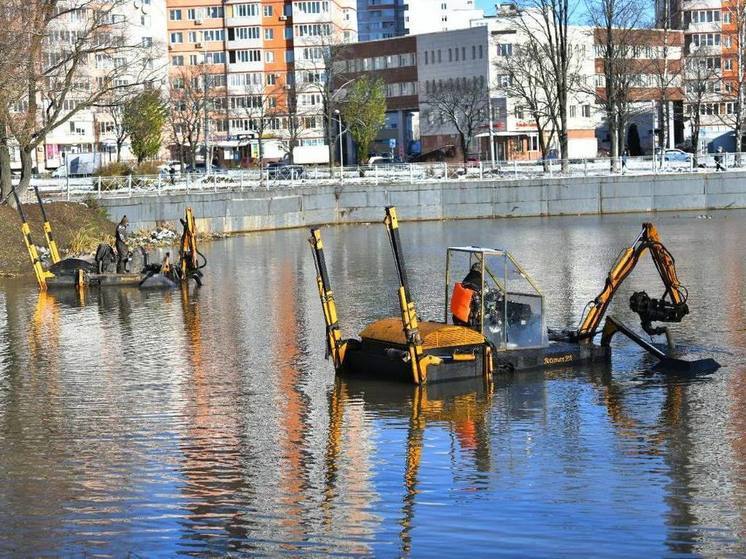 В Ярославле из пруда в Дзержинском районе начали качать ил и мусор