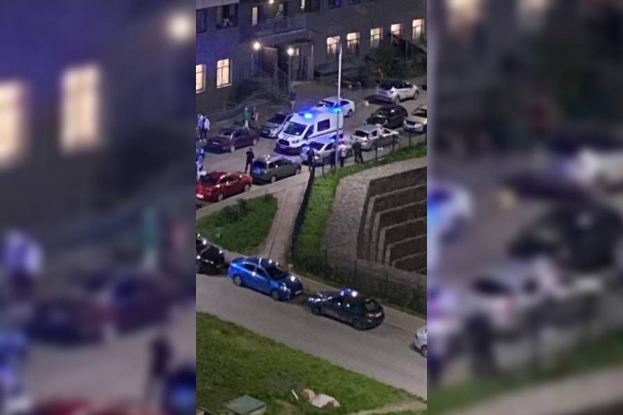 девяткино происшествия сегодня