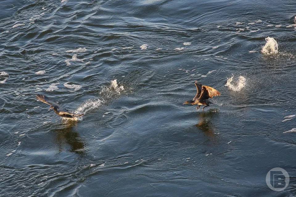 Земельный участок у водоема государству вернул волгоградский суд