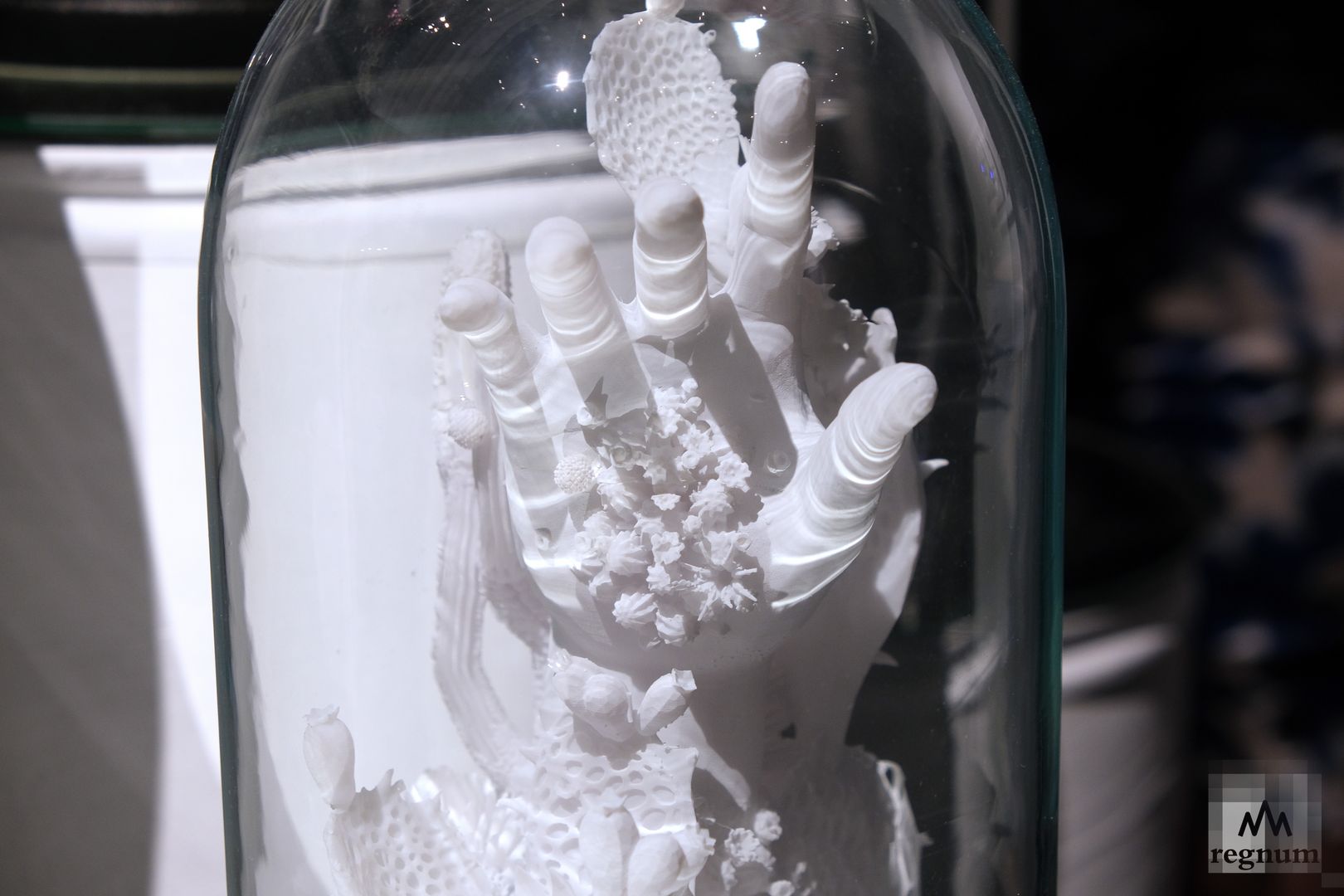 Работы Марии Ефимовой и Андрея Шкарина из серии «Мой сад»