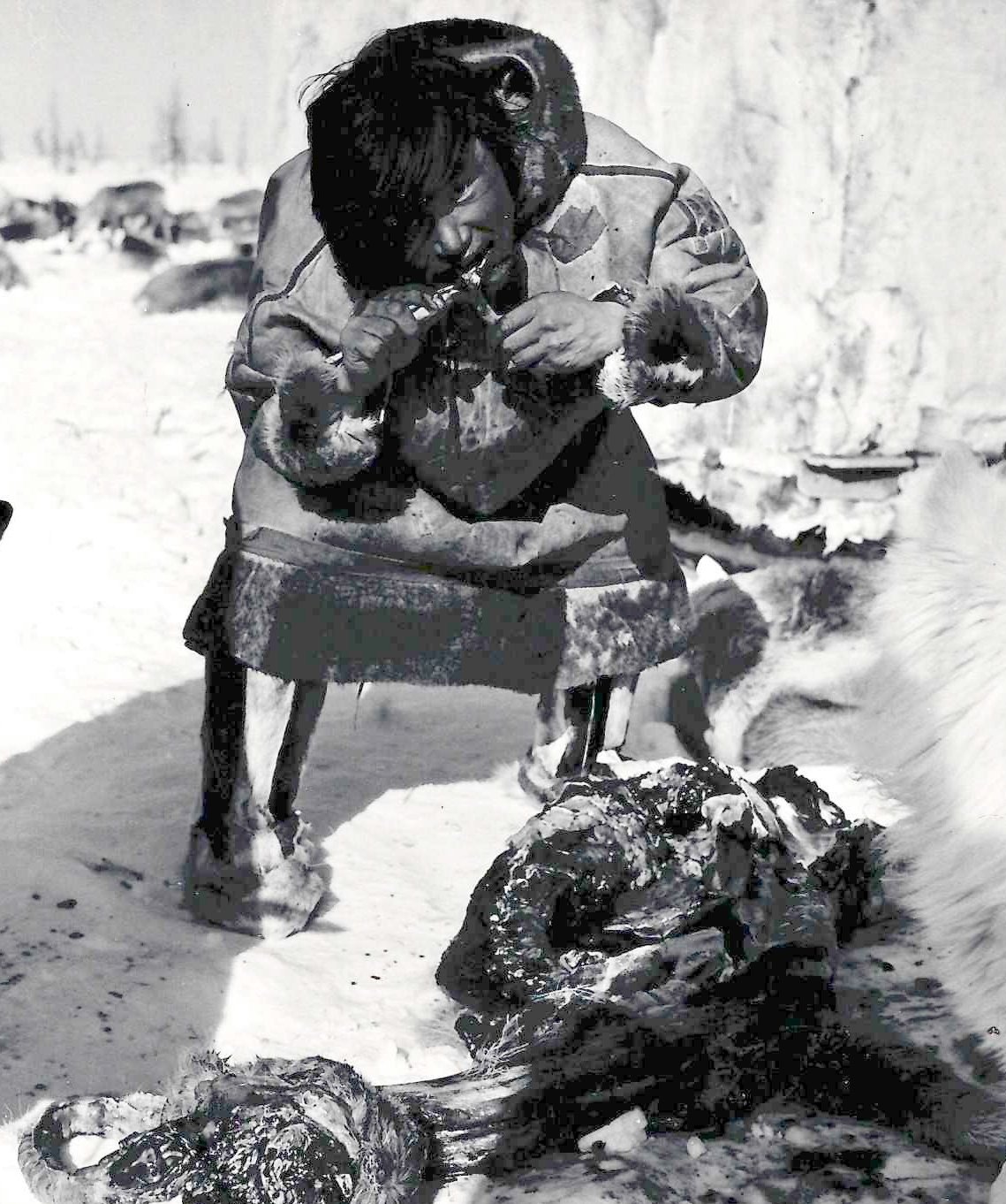 из личного архива Владимира Шейко