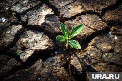 В России наиболее уязвимым регионом остается Калмыкия