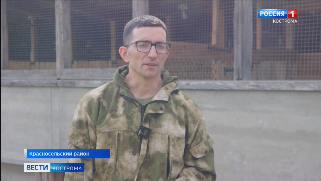 Лосята родились.mp4_snapshot_02.12.061.jpg