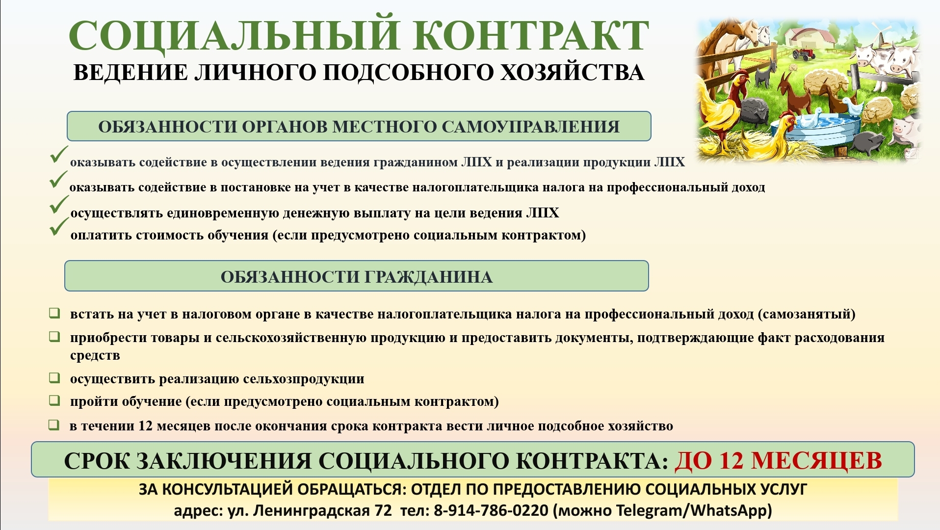 План развития личного подсобного хозяйства для социального контракта образец заполнения