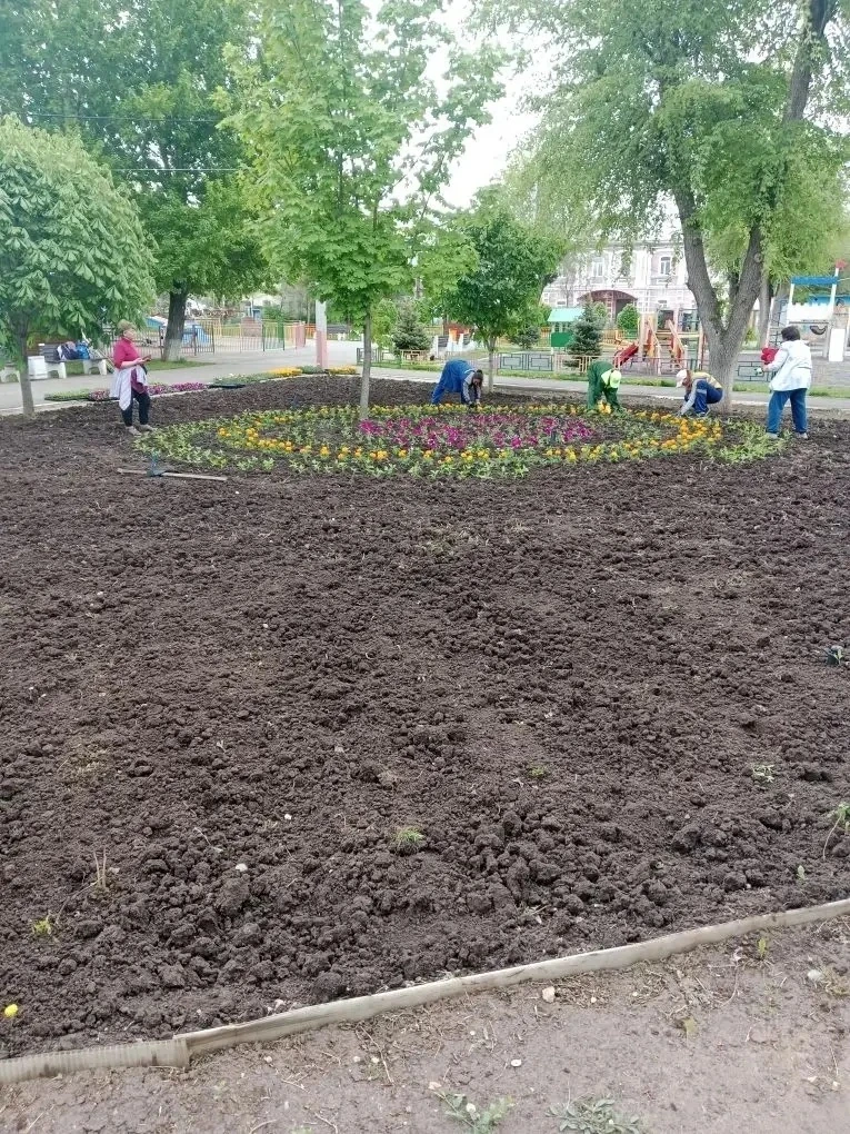В Балаково продолжается высадка цветов