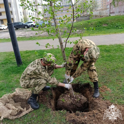Военнослужащие саровской дивизии Росгвардии присоединились к международной патриотической акции «Сад Памяти»
