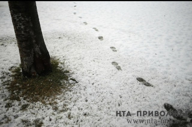  “Предзимье” придет в Нижний Новгород уже на этой неделе