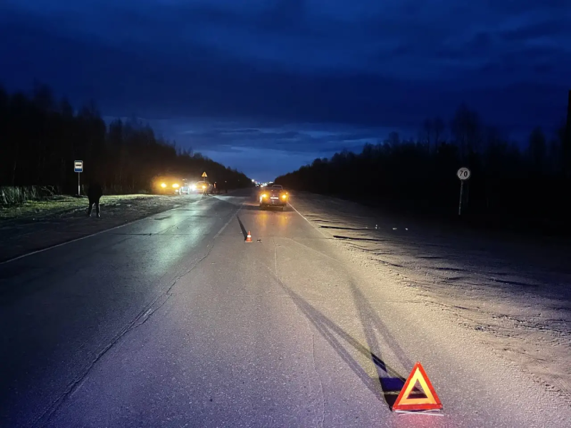 Под Усинском 