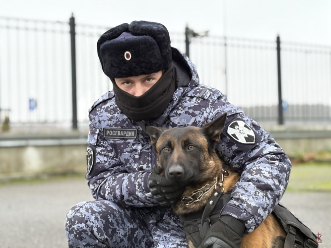 В Калининграде росгвардейцы обеспечили безопасность футбольного матча РПЛ