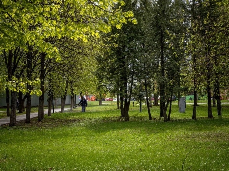 27 апреля парки и скверы в Курске обработают от клещей
