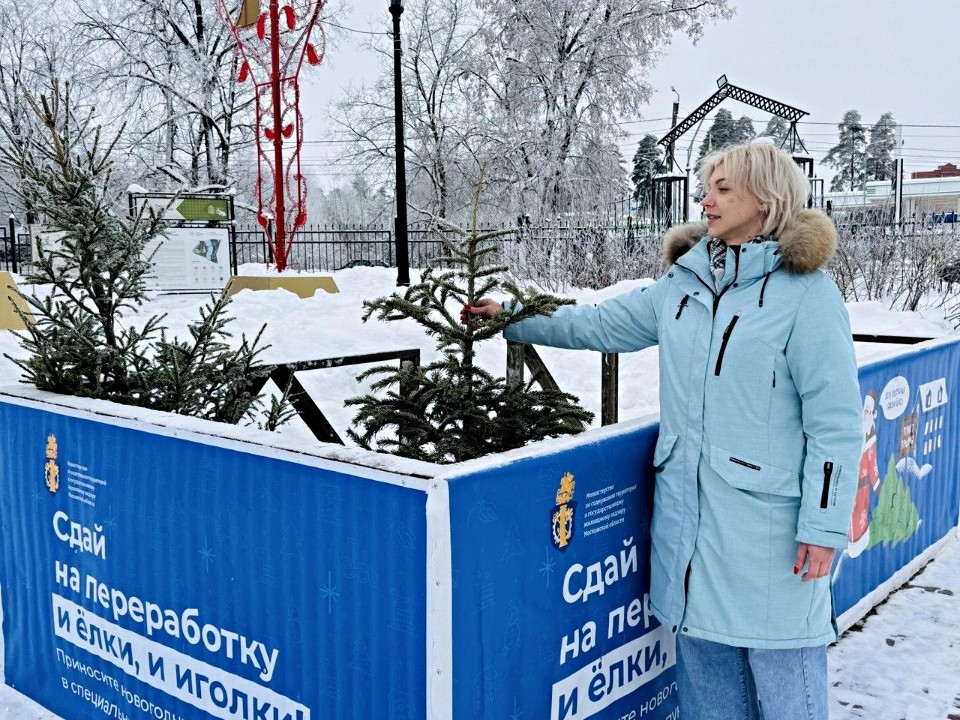 Елка после праздников: куда отнести жителям Сергиева Посада и зачем это нужно