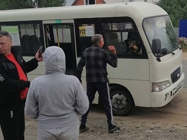 Захвачен автобус с детьми. Дети заложники в автобусе. Пес в автобусе. Заложники автобус с детьми Осетия