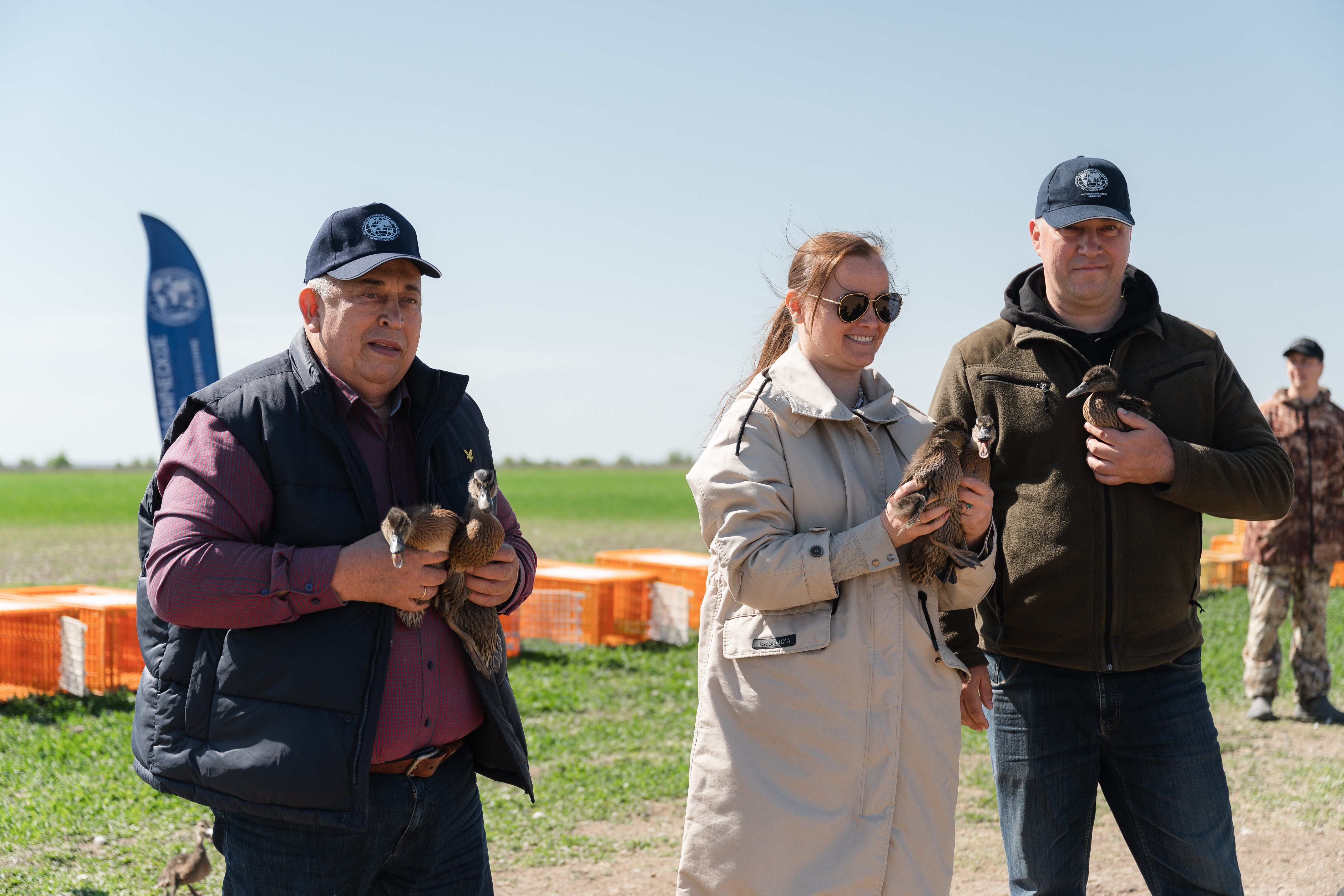 Ещё три тысячи особей утки-кряквы выпустили в естественную среду в Ростовской области