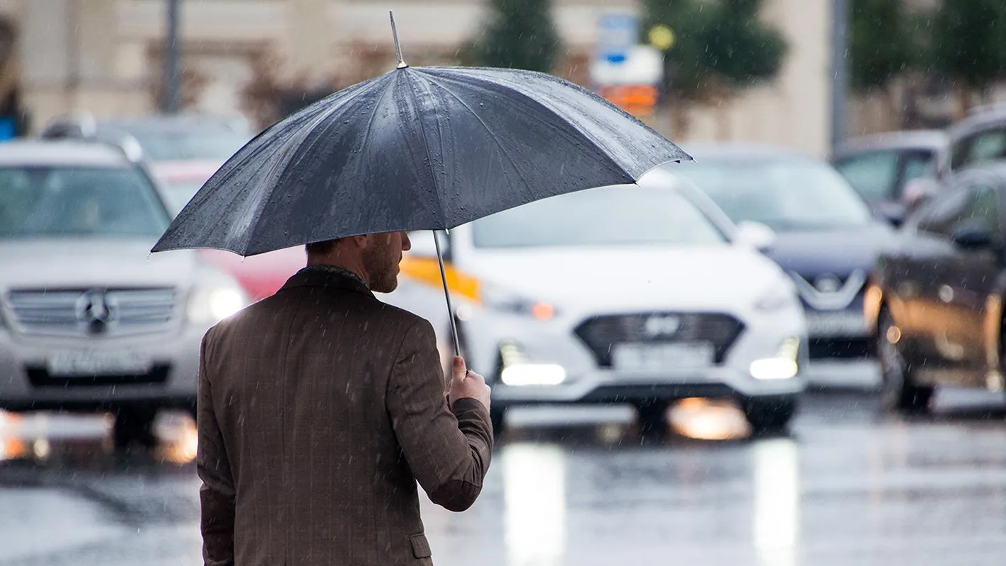 человек под зонтом. сильный ливень. в дождь идти в магазин. прохожие в париже. дождливый день.