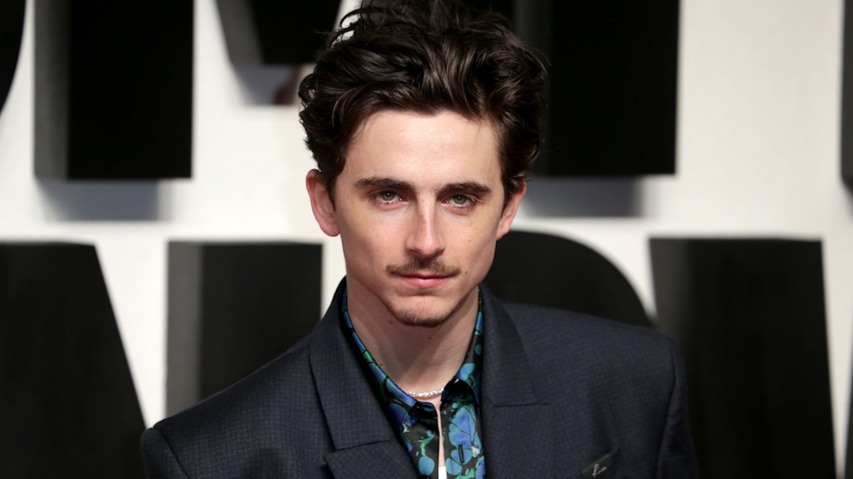 Актёр Тимоти Шаламе