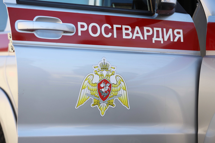 Офицеры СОБР «Коловрат» Росгвардии задержали жителя Касимовского района, организовавшего дома оранжерею конопли