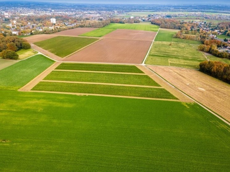 Получить бесплатно земельный участок смогут участники СВО в Новосибирской области