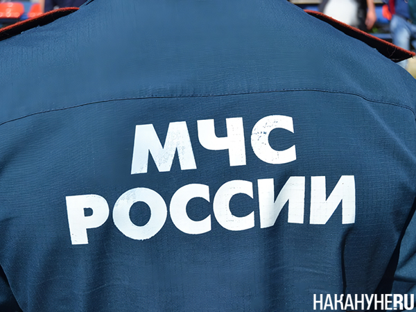 Фото: Накануне.RU