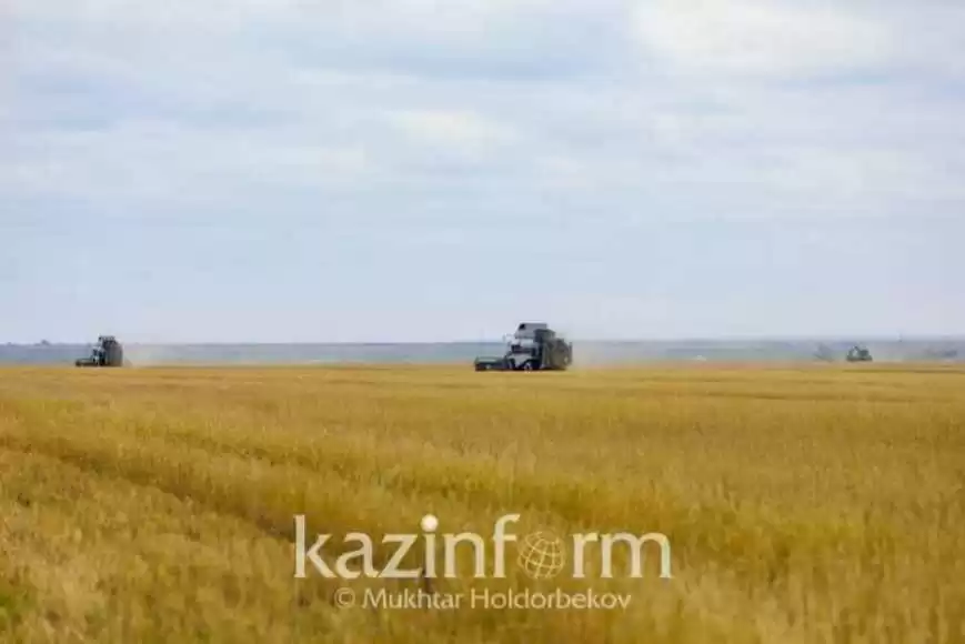 Более 1 млн гектаров неиспользуемых сельхозземель изъято в Актюбинской области за два года