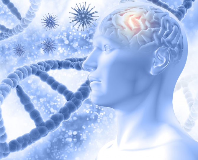 Иммунная система мозга и рецидивы при наркозависимости: новое понимание и перспективы лечения