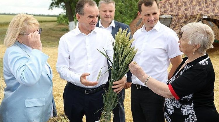 На Кубани состоится праздник урожая! Хлеб наш насущный — символ жизни