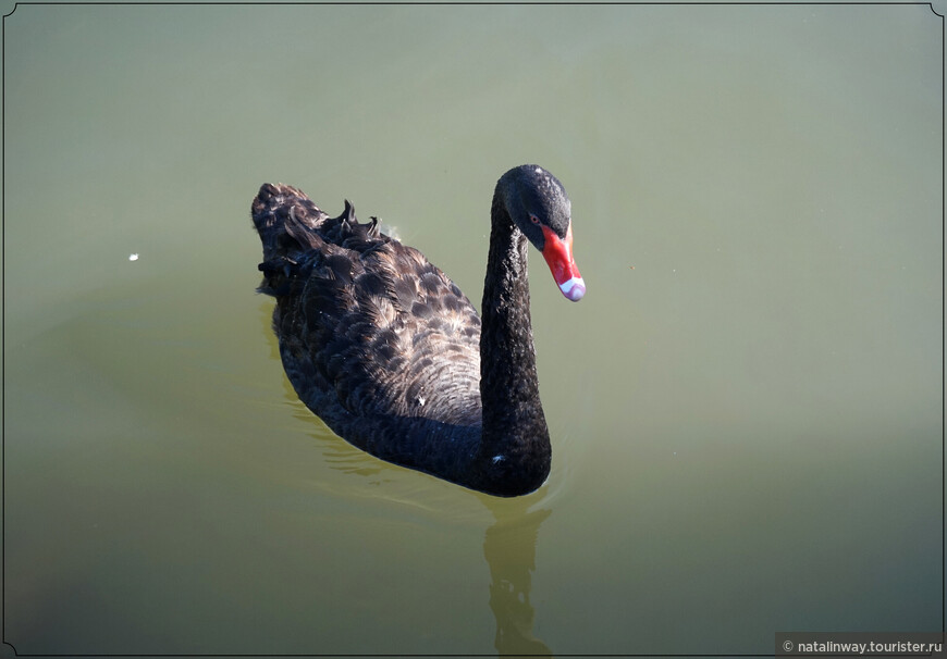 Водный город Губэй и Великая китайская стена
