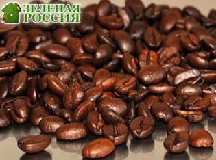 Кофеин как инструмент генной терапии: учёные научились управлять экспрессией генов с помощью кофе