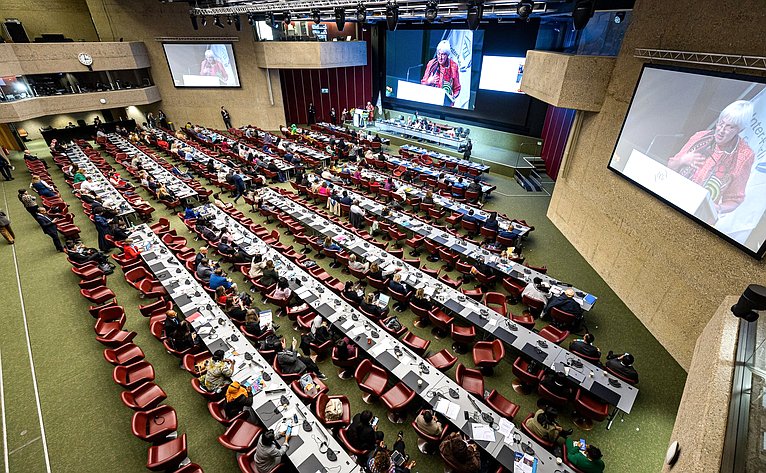 Сенаторы РФ приняли участие в заседании Постоянного комитета по вопросам демократии и прав человека. 151-я Ассамблея МПС