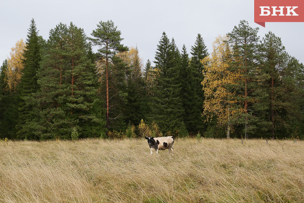 Над Княжпогостским районом запускают беспилотники