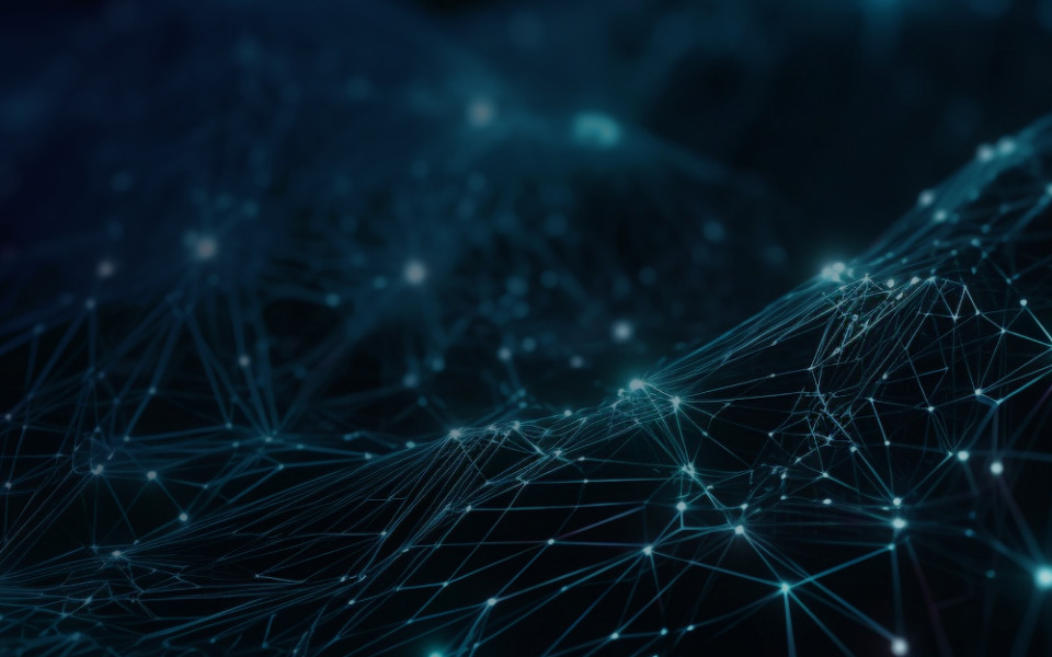 НОРБИТ, Websoft