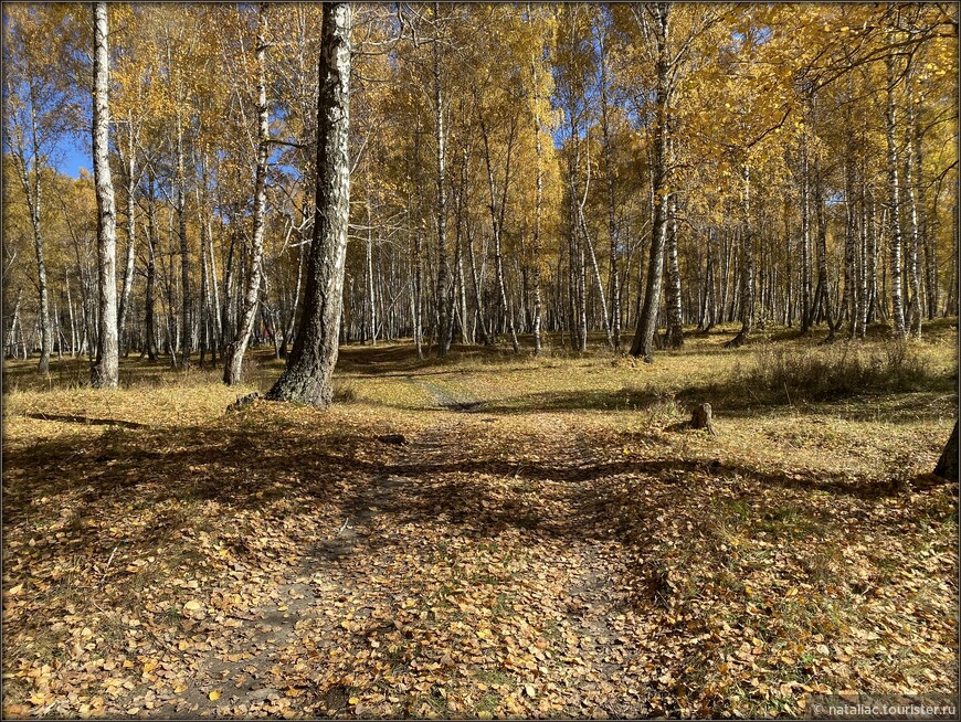 «Осенние краски Уймонской долины». Дорога, база и первые эмоции
