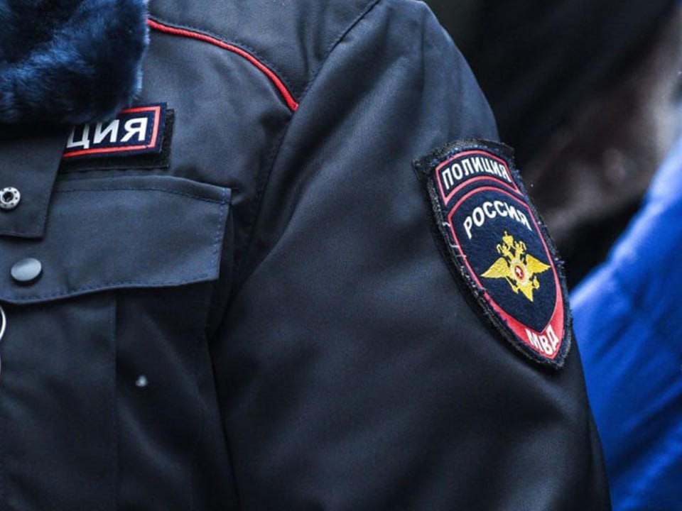 Полиция задержала иногородних мошенников за аферу с квартирой в Лобне