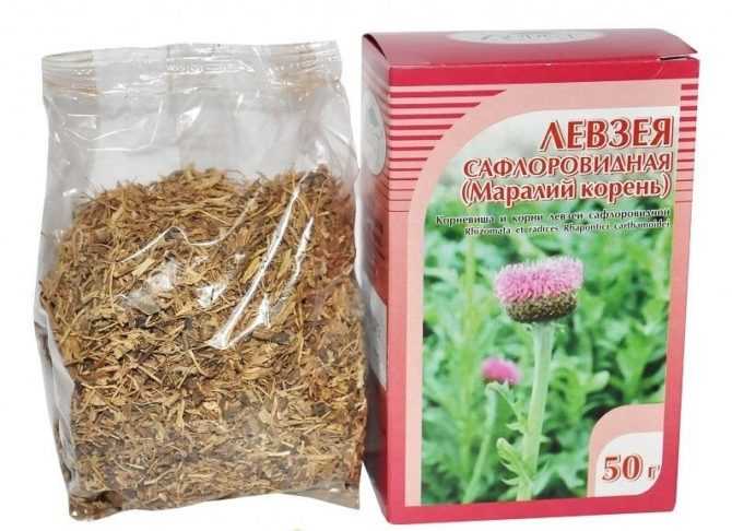 Левзея сафлоровидная - выращивание и уход, полезные свойства и применение
