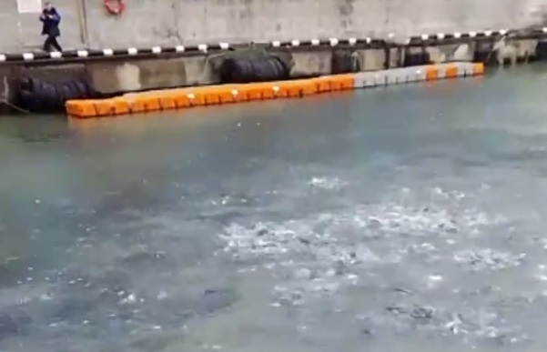 Форель в черном море. Форель сочи ушла в море 2023. У рыбака, сочи. Форель сочи ушла в море 2023. Фото сочи рыбаков.