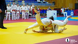 В Челябинске провели Фестиваль борьбы по трем единоборствам